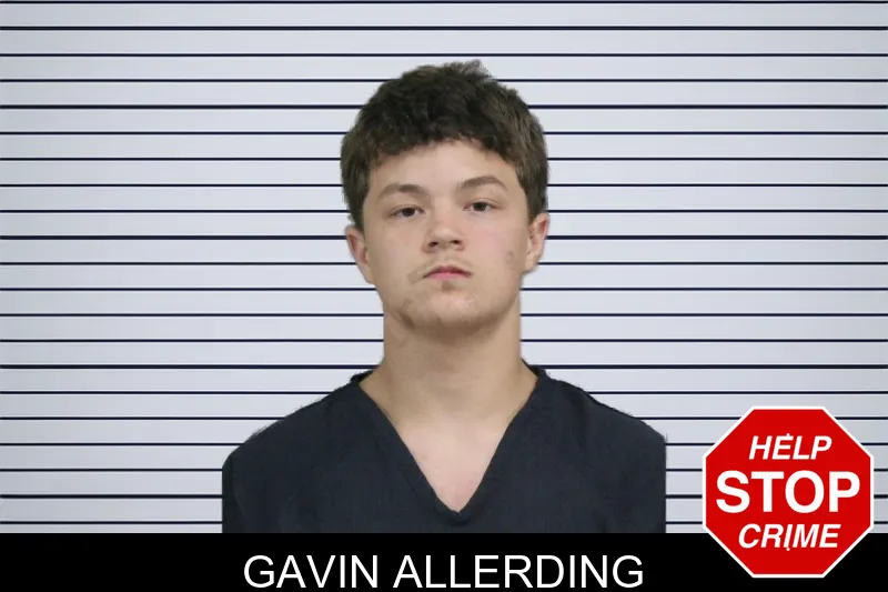 Gavin Allerding mugshot