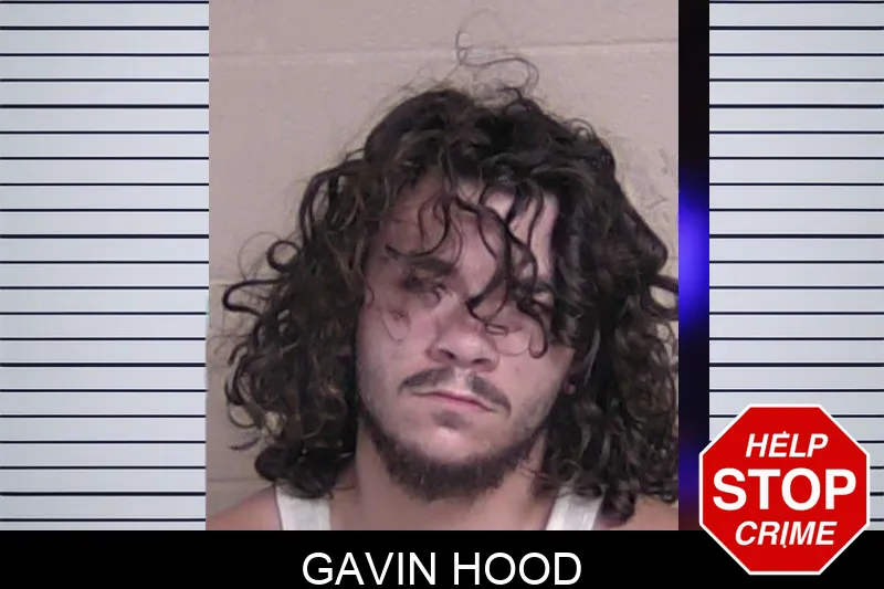 Gavin Hood mugshot – Walker County , Georgia Gavin Hood mugshot