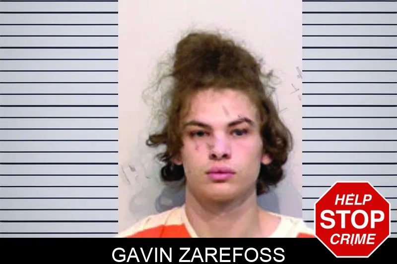Gavin Zarefoss mugshot