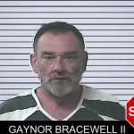 Gaynor Bracewell II mugshot
