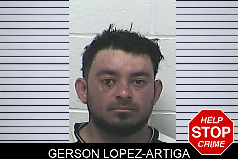 Gerson Lopez-Artiga mugshot