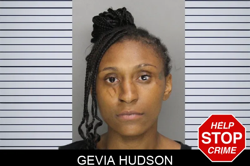 Gevia Hudson mugshot