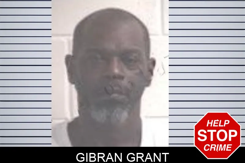 Gibran Grant mugshot – Henry County , Georgia Gibran Grant mugshot