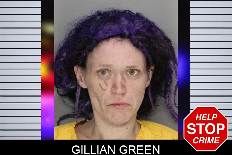 Gillian Green mugshot – Cobb County , Georgia Gillian Green mugshot