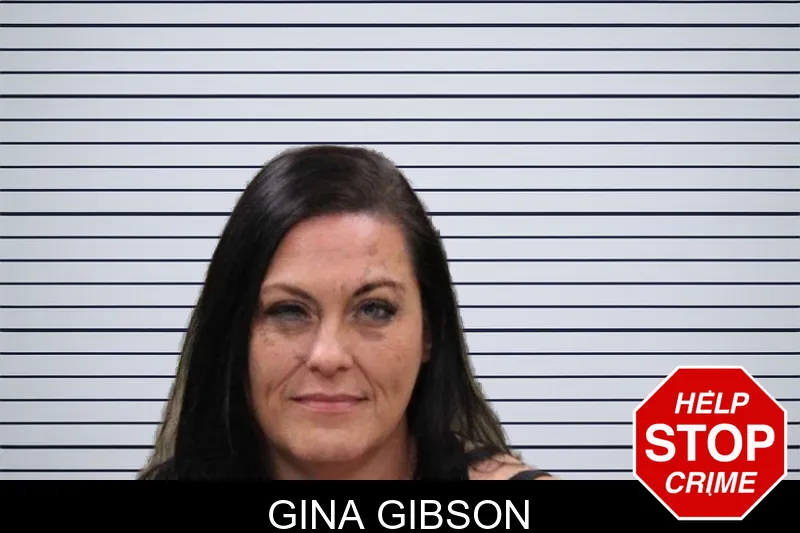 Gina Gibson mugshot – Heard County , Georgia Gina Gibson mugshot