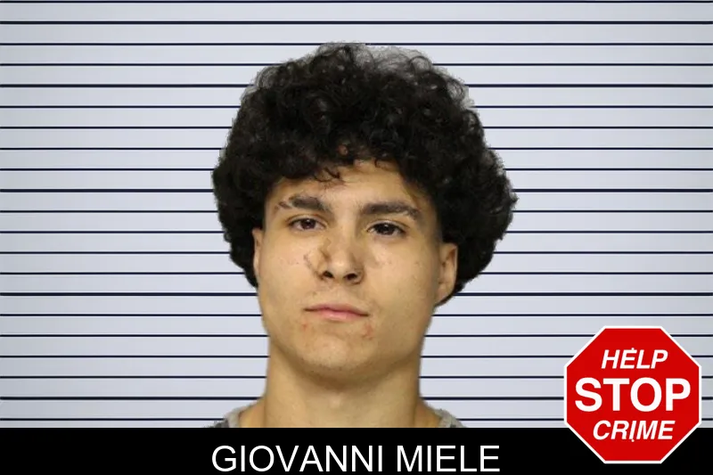 Giovanni Miele mugshot – Hall County , Georgia Giovanni Miele mugshot