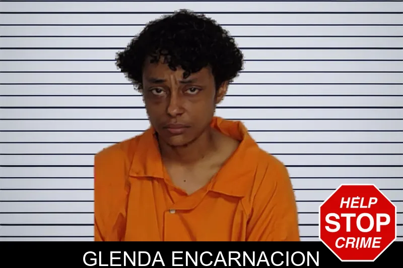 Glenda Encarnacion mugshot