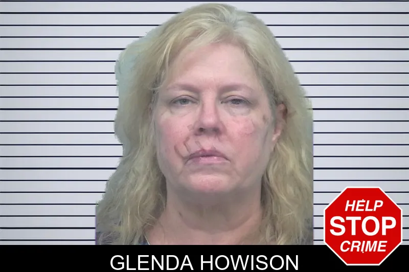 Glenda Howison mugshot – Gwinnett County , Georgia Glenda Howison mugshot