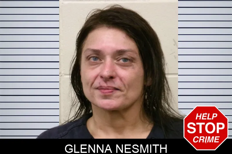 Glenna Nesmith mugshot – Bulloch County , Georgia Glenna Nesmith mugshot