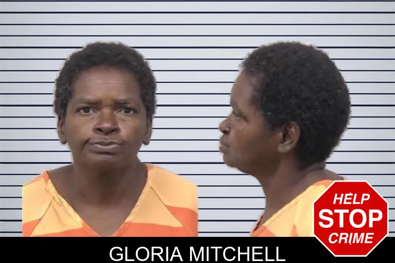 Gloria Mitchell mugshot – Paulding County , Georgia Gloria Mitchell mugshot