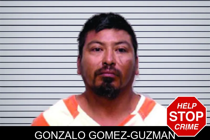 Gonzalo Gomez-Guzman mugshot – Bartow County , Georgia Gonzalo Gomez-Guzman mugshot