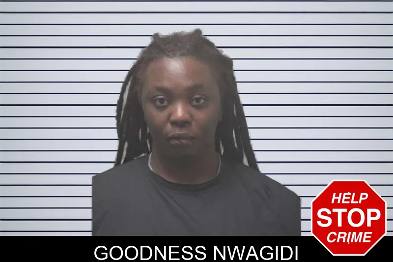 Goodness Nwagidi mugshot