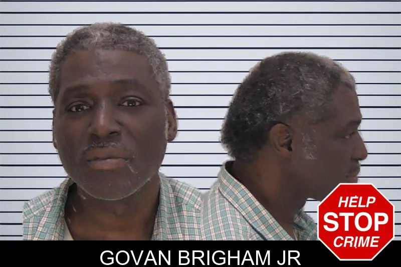 Govan Brigham Jr mugshot