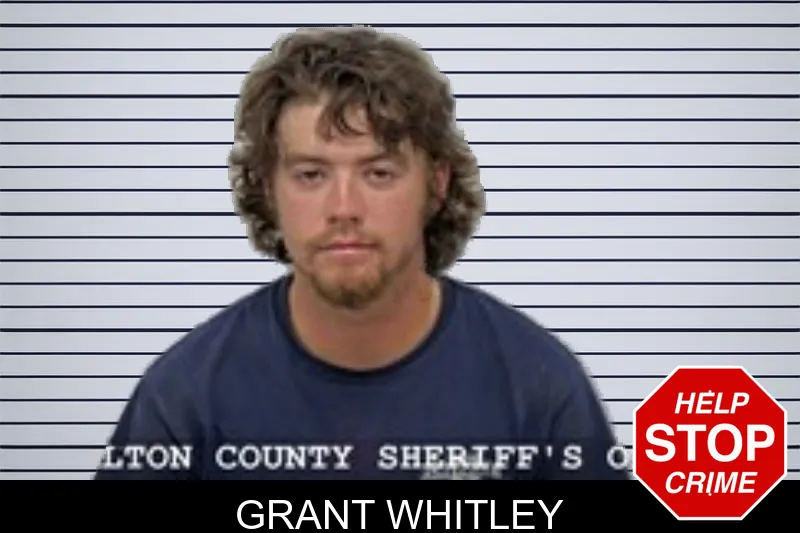 Grant Whitley mugshot – Walton County , Georgia Grant Whitley mugshot