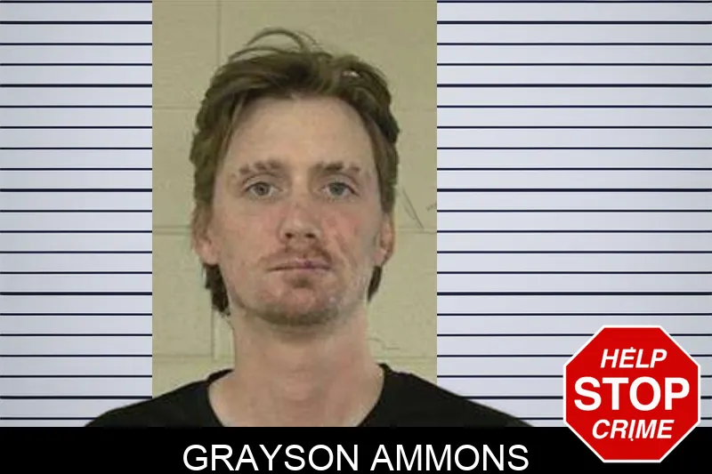 Grayson Ammons mugshot