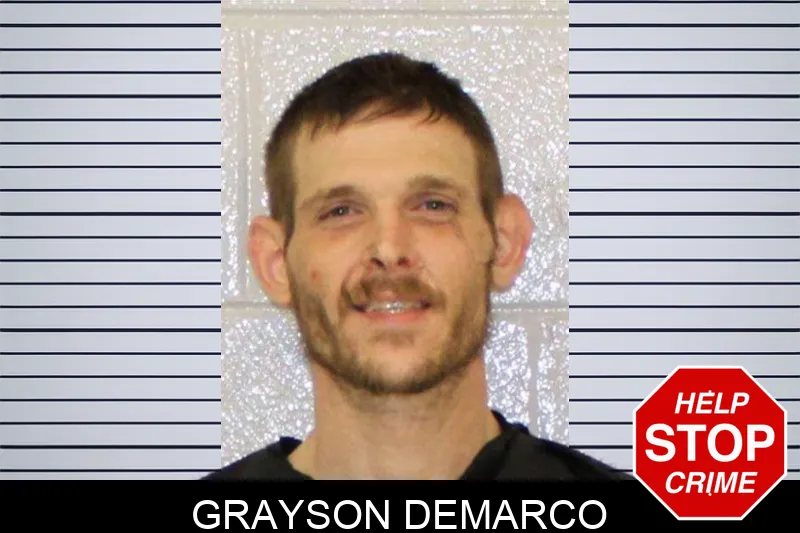 Grayson Demarco mugshot – Carroll County , Georgia Grayson Demarco mugshot