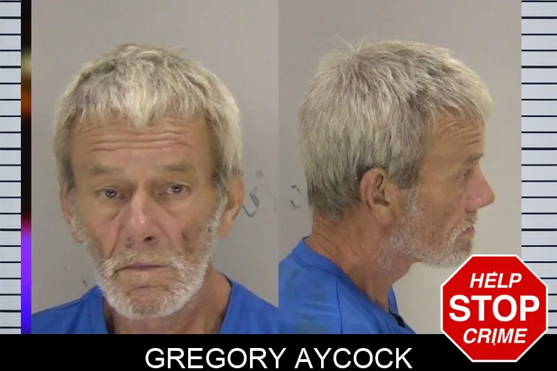 Gregory Aycock mugshot