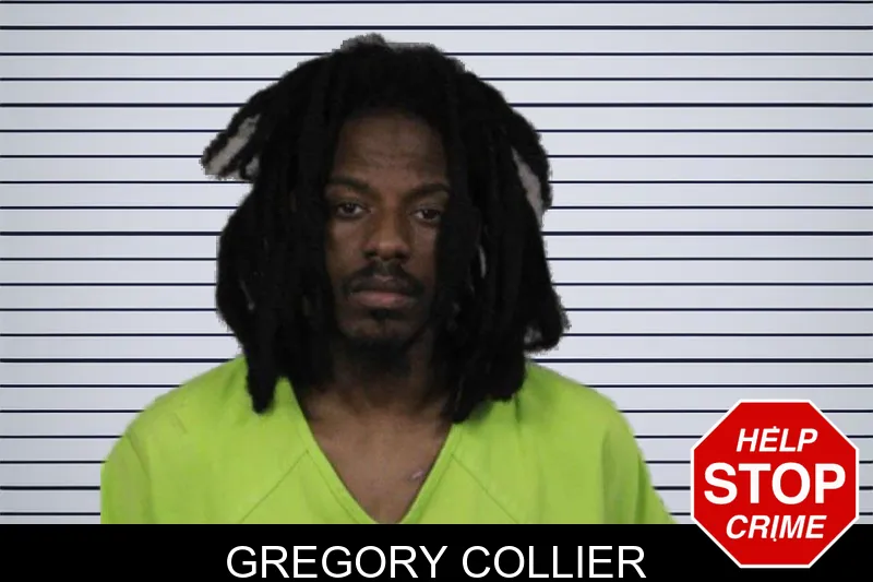 Gregory Collier mugshot – Lamar County , Georgia Gregory Collier mugshot