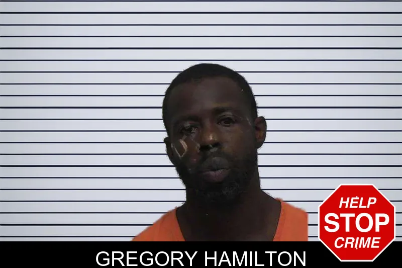 Gregory Hamilton mugshot
