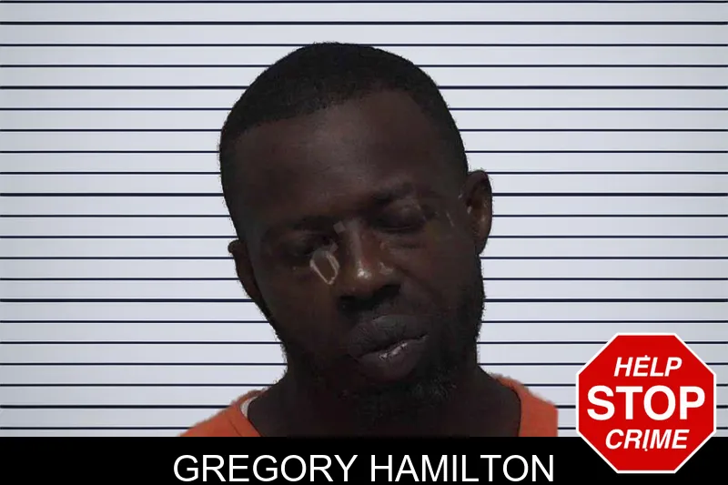 Gregory Hamilton mugshot