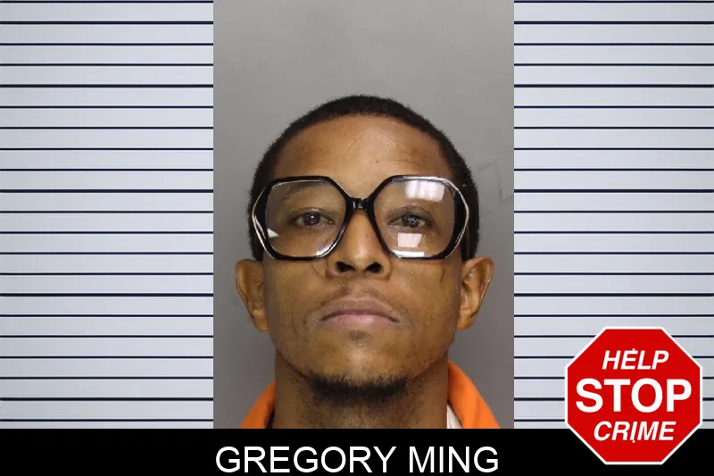 Gregory Ming mugshot – Cobb County , Georgia Gregory Ming mugshot