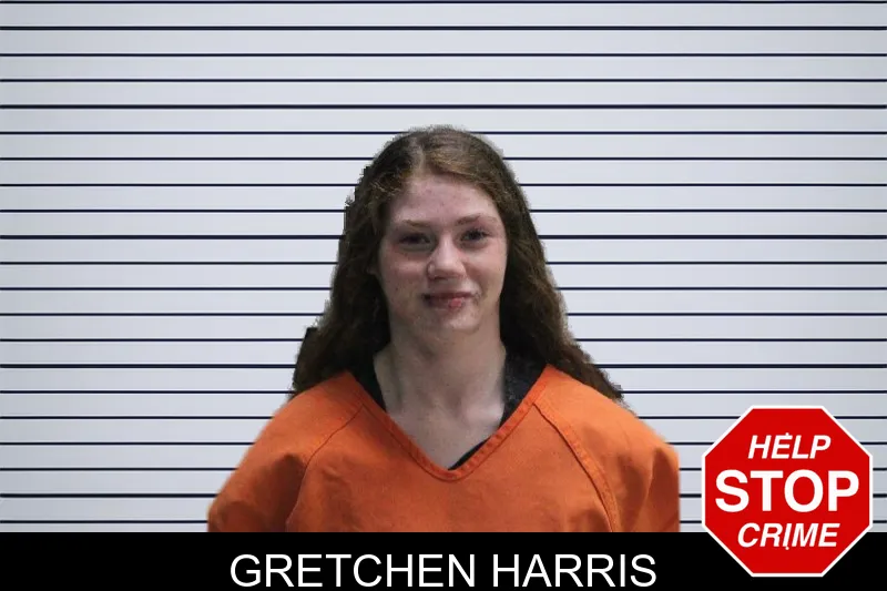 Gretchen Harris mugshot
