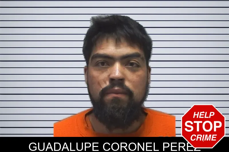 Guadalupe Coronel Perez mugshot