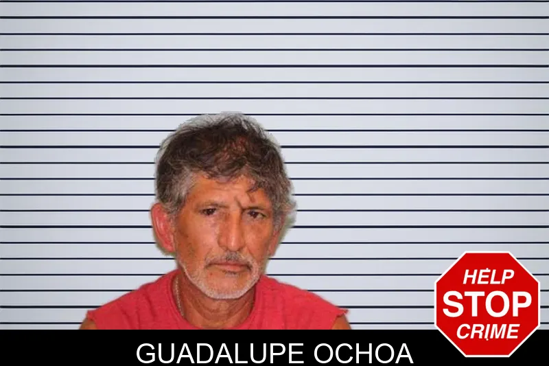 Guadalupe Ochoa mugshot