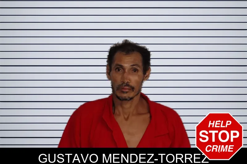 Gustavo Mendez-Torrez mugshot