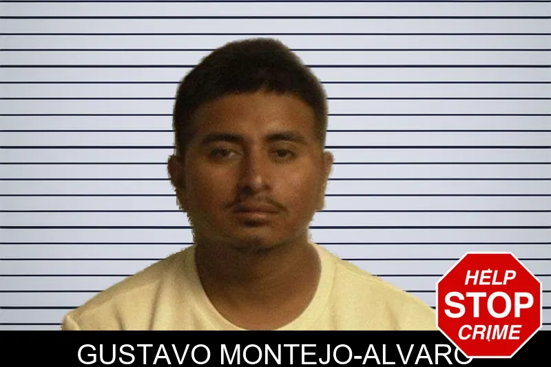 Gustavo Montejo-Alvaro mugshot
