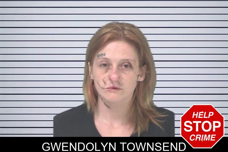 Gwendolyn Townsend mugshot – Douglas County , Georgia Gwendolyn Townsend mugshot