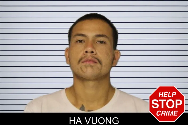 Ha Vuong mugshot