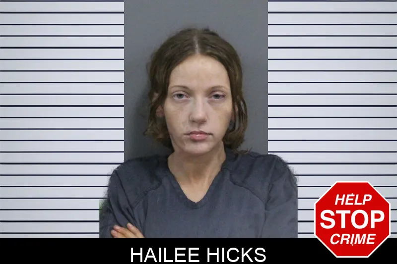Hailee Hicks mugshot – Catoosa County , Georgia Hailee Hicks mugshot