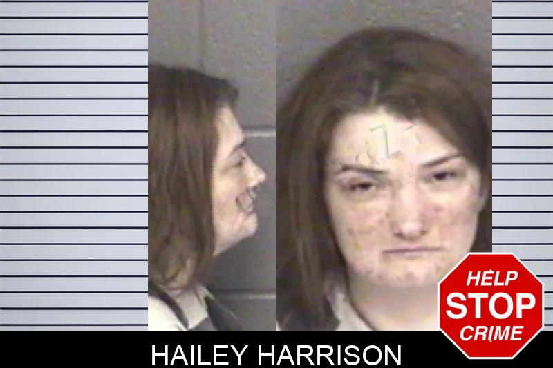 Hailey Harrison mugshot