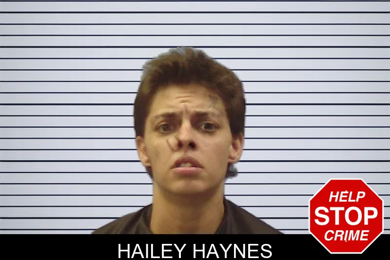 Hailey Haynes mugshot – Chattooga County , Georgia Hailey Haynes mugshot