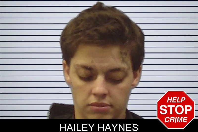 Hailey Haynes mugshot
