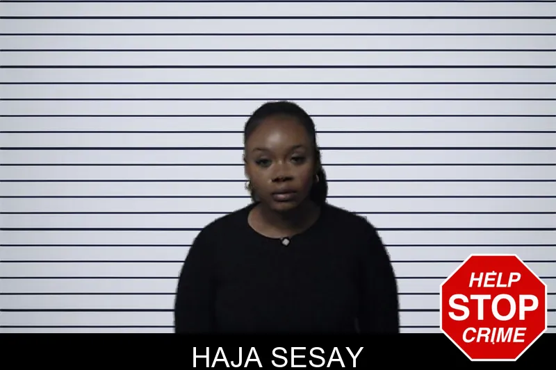 Haja Sesay mugshot