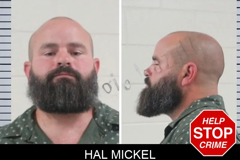 Hal Mickel mugshot