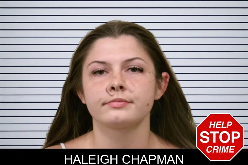 Haleigh Chapman mugshot