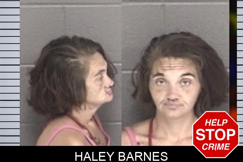 Haley Barnes mugshot