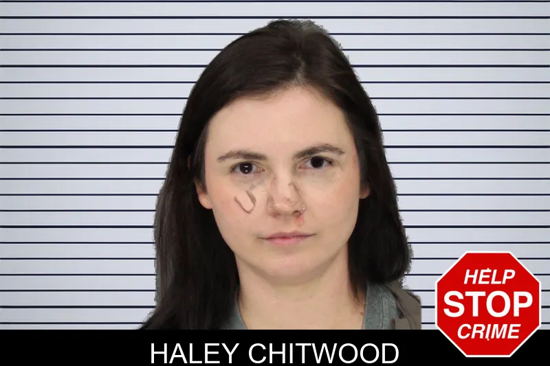 Haley Chitwood mugshot