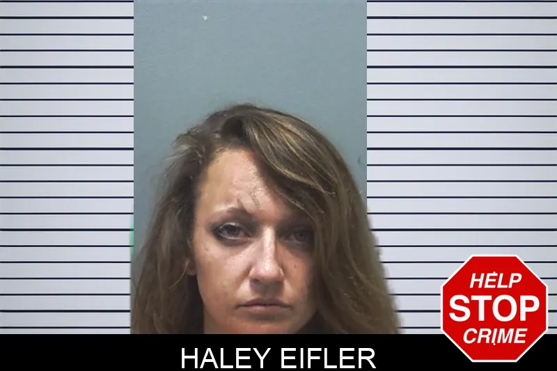 Haley Eifler mugshot – Cherokee County , Georgia Haley Eifler mugshot