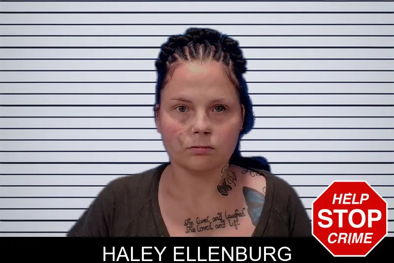 Haley Ellenburg mugshot