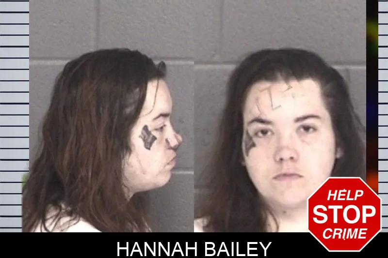 Hannah Bailey mugshot