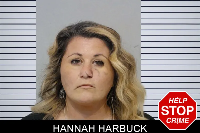Hannah Harbuck mugshot – Bibb County , Georgia Hannah Harbuck mugshot