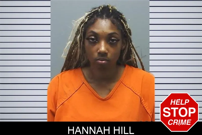 Hannah Hill mugshot