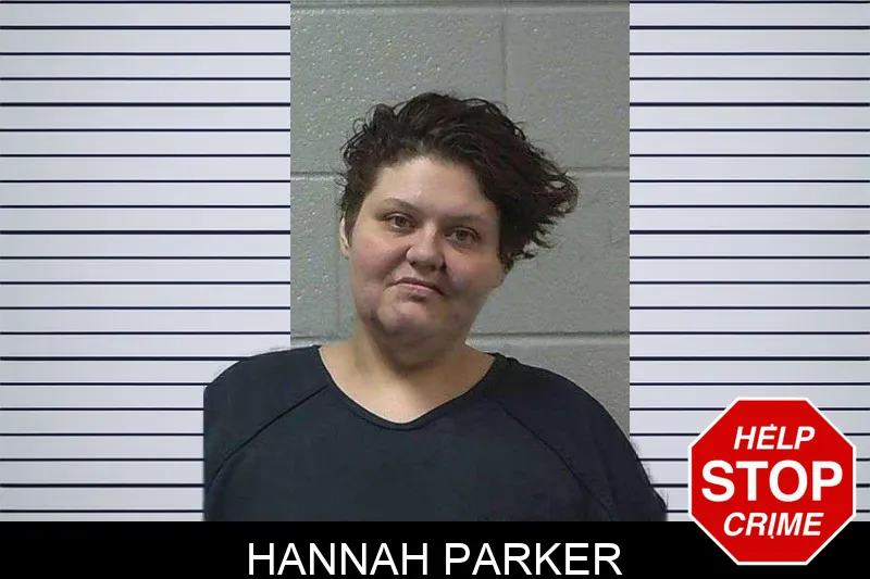 Hannah Parker mugshot – Gilmer County , Georgia Hannah Parker mugshot