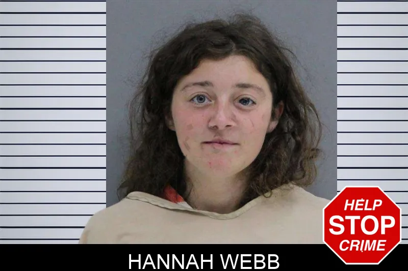 Hannah Webb mugshot