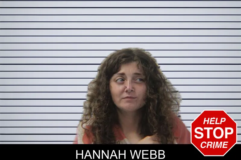 Hannah Webb mugshot
