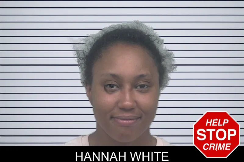 Hannah White mugshot – Gwinnett County , Georgia Hannah White mugshot